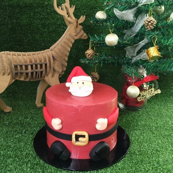 Santa Chubby Cake